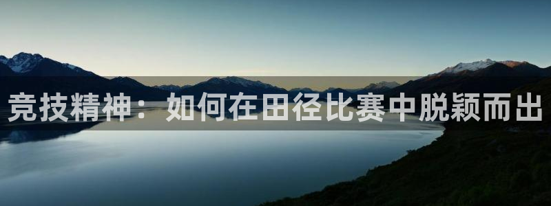 蓝狮在线体育网页版入口