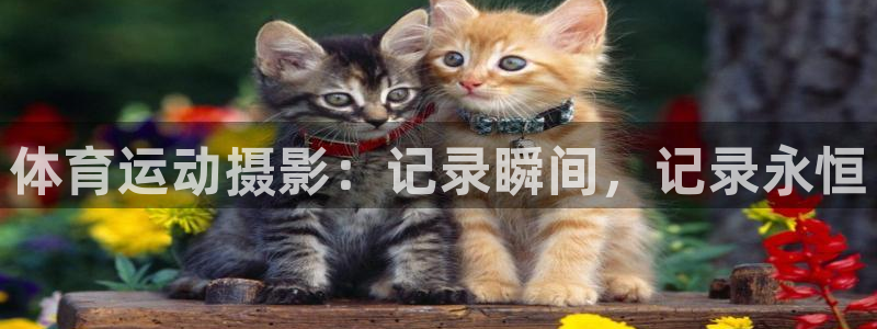 意昂的动画