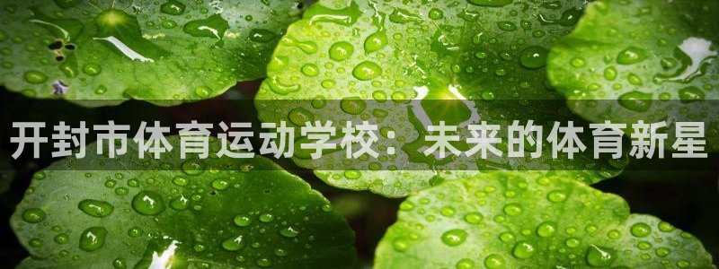 意昂3注册