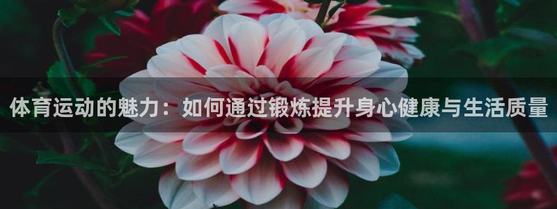 意昂3平台注册