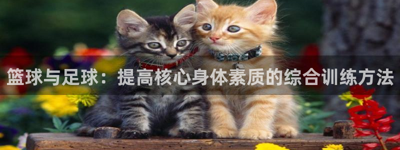 意昂体育官网登录