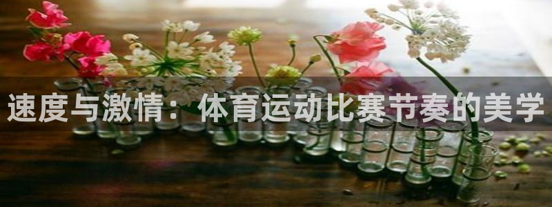 蓝狮在线平台注册
