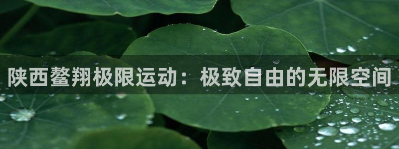 意昂3登录