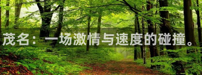 蓝狮在线体育